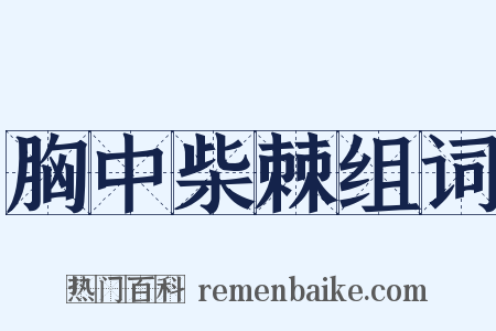 胸中柴棘组词是什么意思的图片